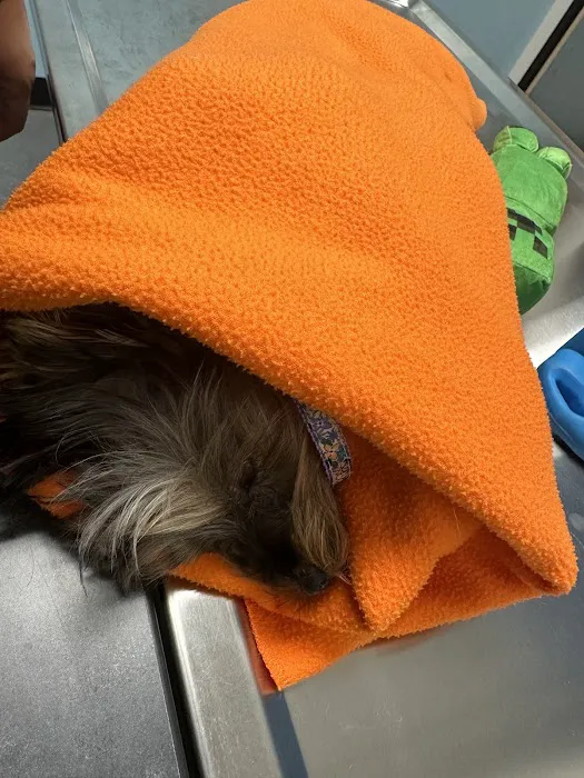 Banfield Pet Hospital Picture 10