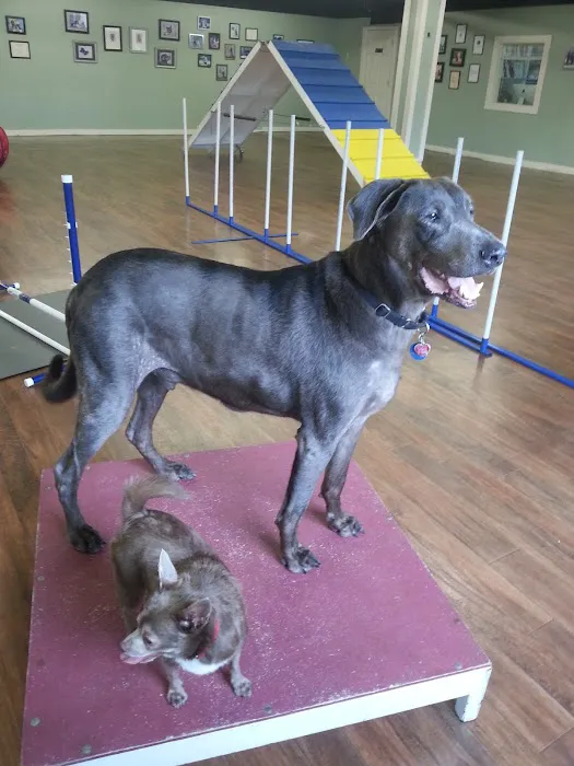 Marlton Animal Hospital Picture 3