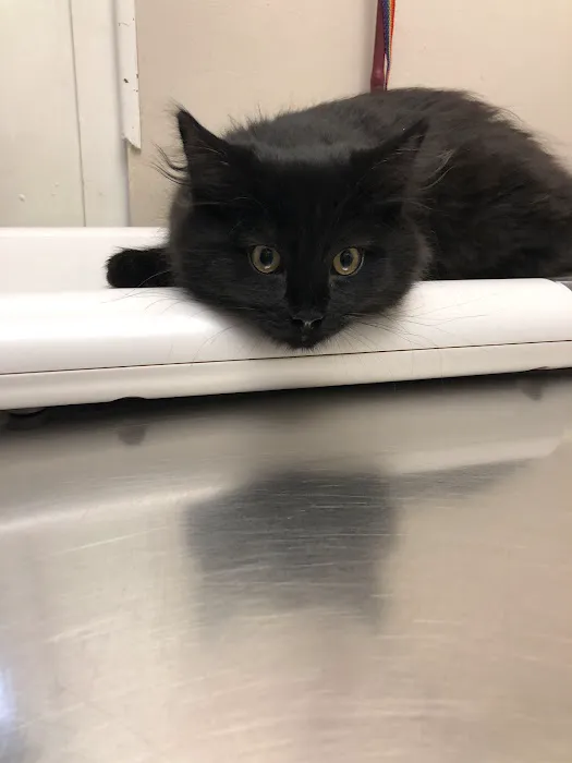 Marlton Animal Hospital Picture 1