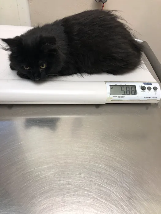 Marlton Animal Hospital Picture 7