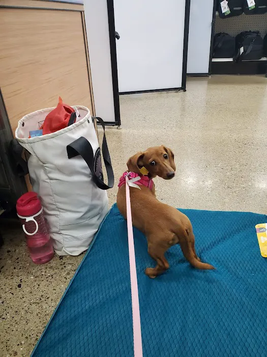 Petco Picture 3