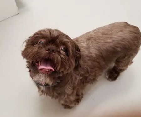 Voorhees Veterinary Center