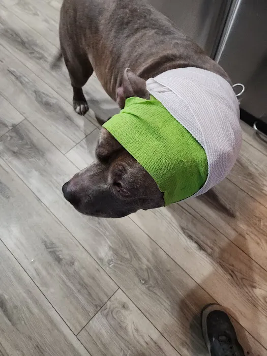 Voorhees Veterinary Center Picture 6