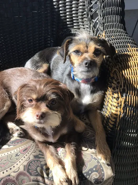 Voorhees Veterinary Center Picture 9
