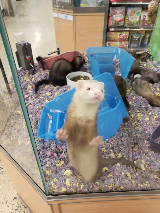 Petco Picture 5
