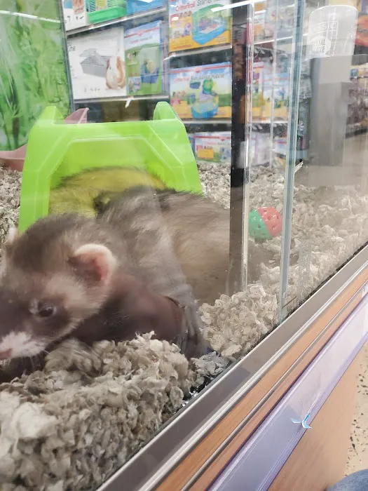 Petco Picture 8