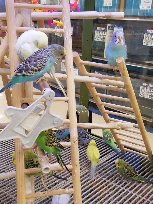 Petco Picture 9