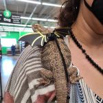 Pet Supplies Plus Garwood