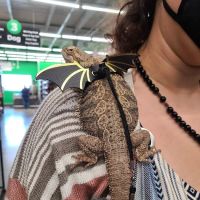 Pet Supplies Plus Garwood ico