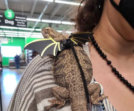 Pet Supplies Plus Garwood