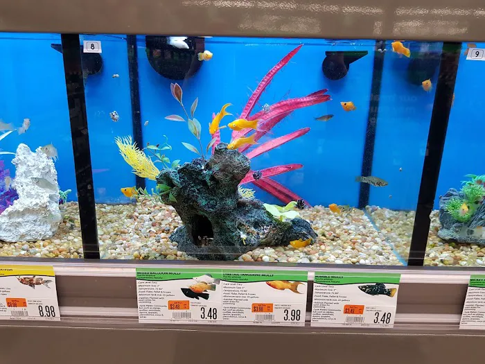 Pet Supplies Plus Garwood Picture 6