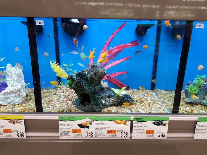 Pet Supplies Plus Garwood Picture 8