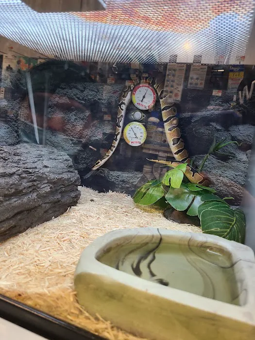 Petco Picture 2