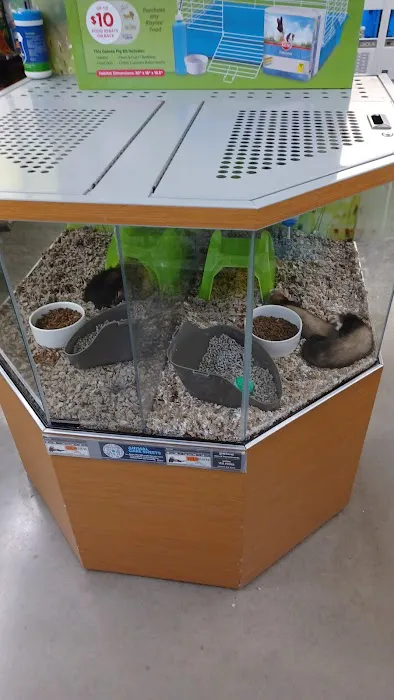Petco Picture 10
