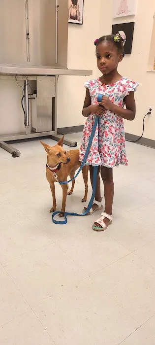 New Hope Animal Wellness Center Picture 1