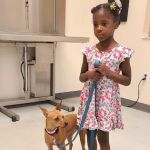 New Hope Animal Wellness Center