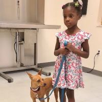 New Hope Animal Wellness Center ico