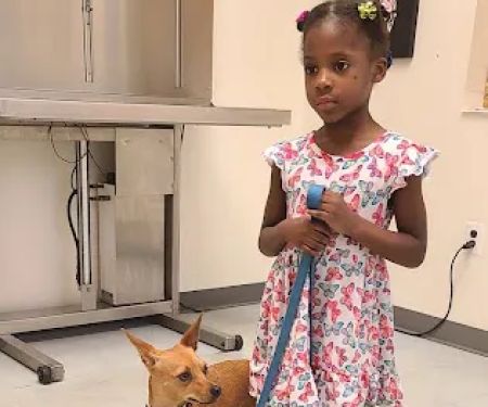 New Hope Animal Wellness Center