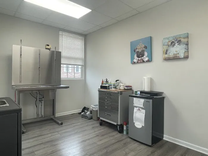 New Hope Animal Wellness Center Picture 2