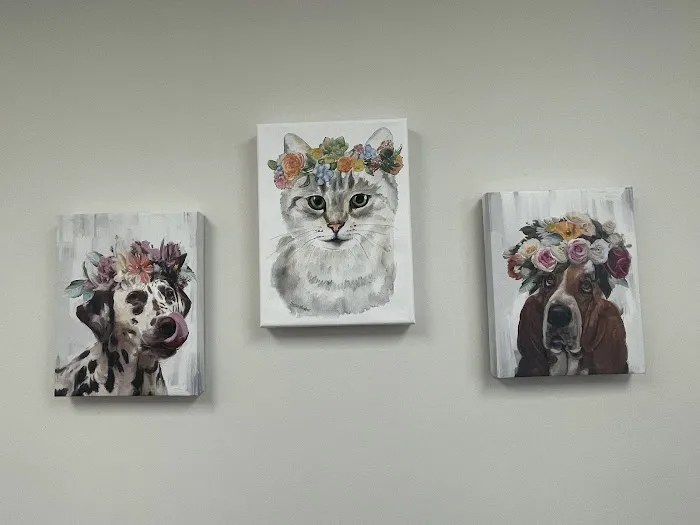 New Hope Animal Wellness Center Picture 9