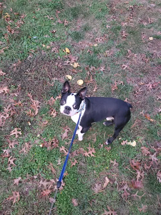 New Hope Animal Wellness Center Picture 10
