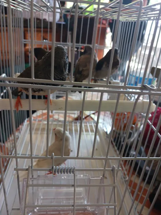 New York Bird Supply Picture 1