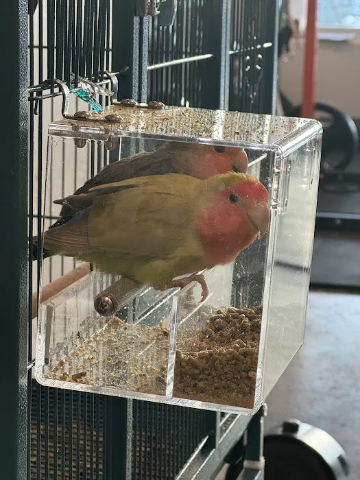 New York Bird Supply Picture 5