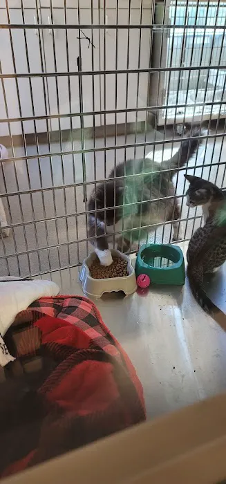 Blackwood Animal Hospital Picture 1