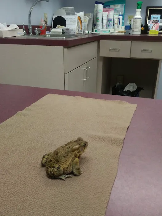 Blackwood Animal Hospital Picture 8