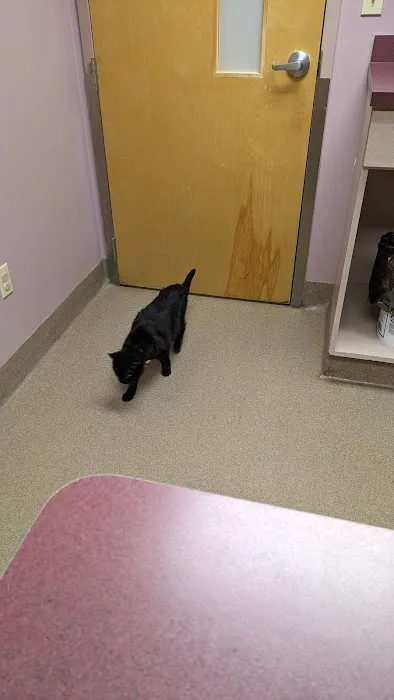 Blackwood Animal Hospital Picture 4