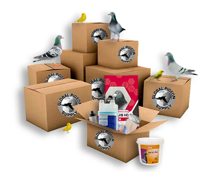 Global Pigeon Supplies Picture 7