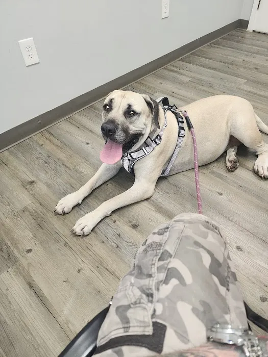 Clementon Animal Hospital Picture 1