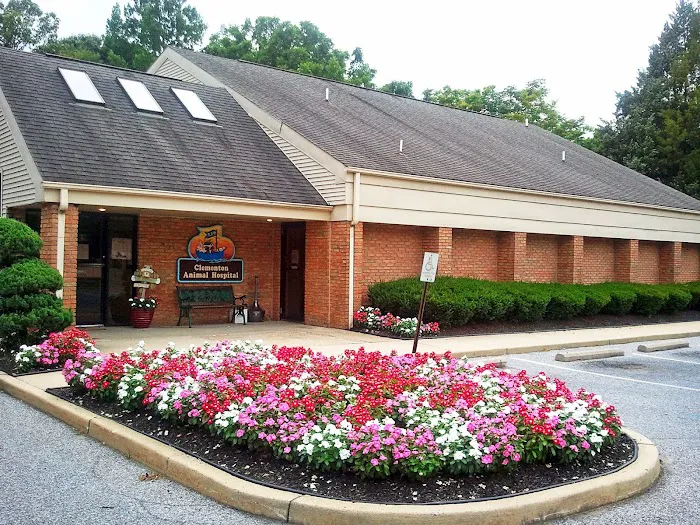 Clementon Animal Hospital Picture 3