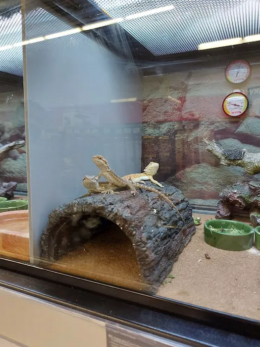 Petco Picture 3