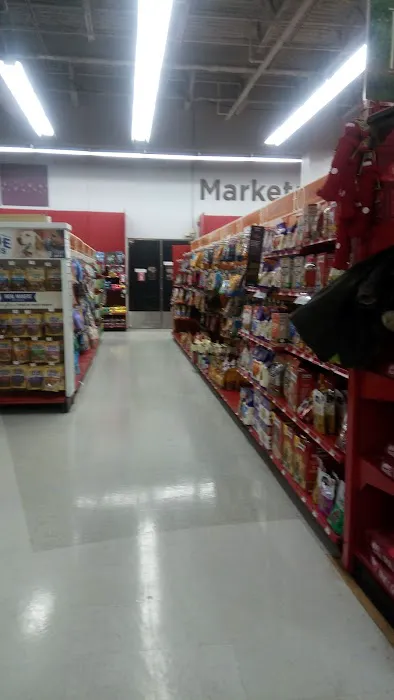 Petco Picture 4