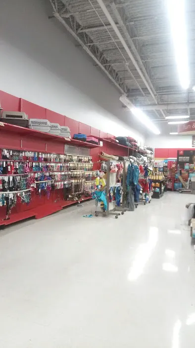 Petco Picture 8