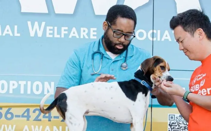 Animal Welfare Association Pet Clinic Picture 5