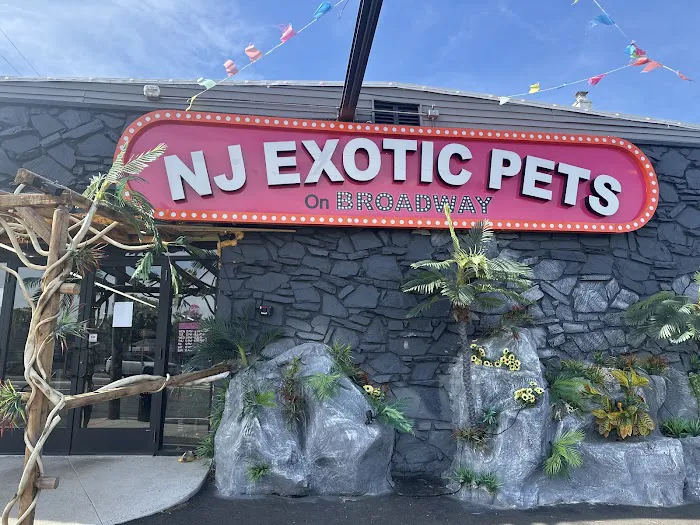 NJ Exotic Pets Picture 2