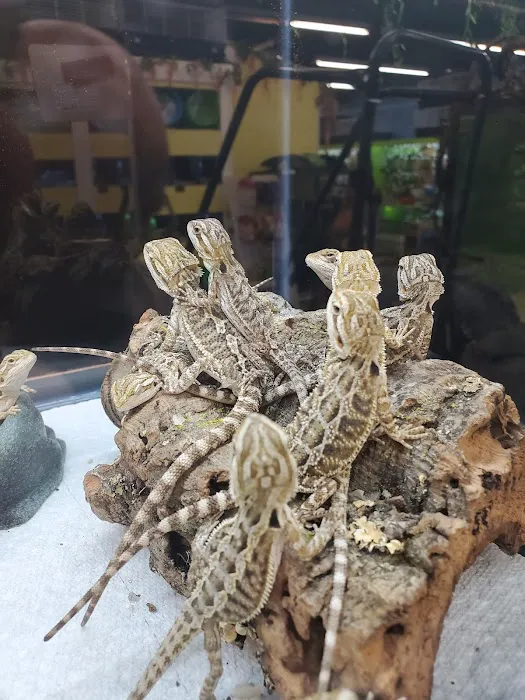 NJ Exotic Pets Picture 5