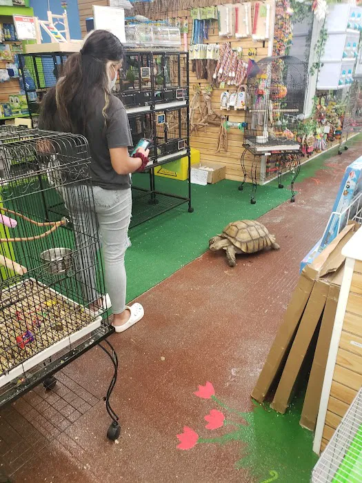 NJ Exotic Pets Picture 6