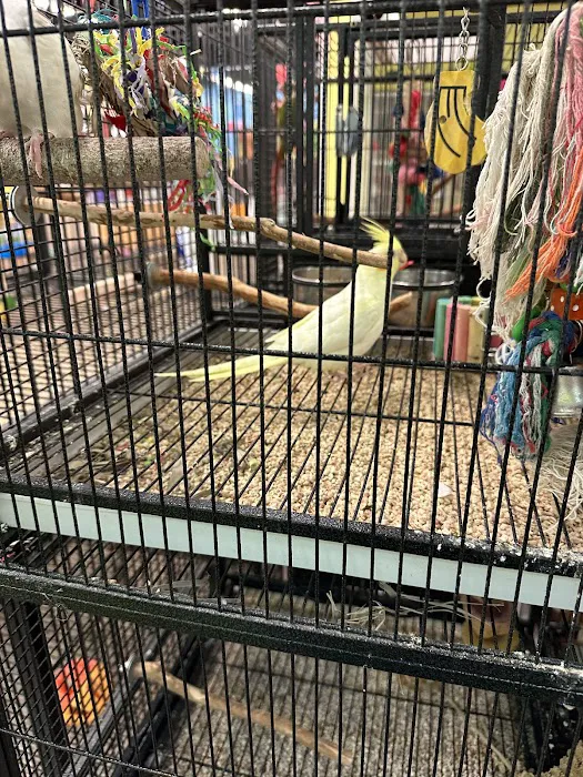 NJ Exotic Pets Picture 10