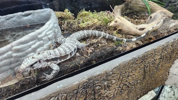 NJ Exotic Pets Picture 9