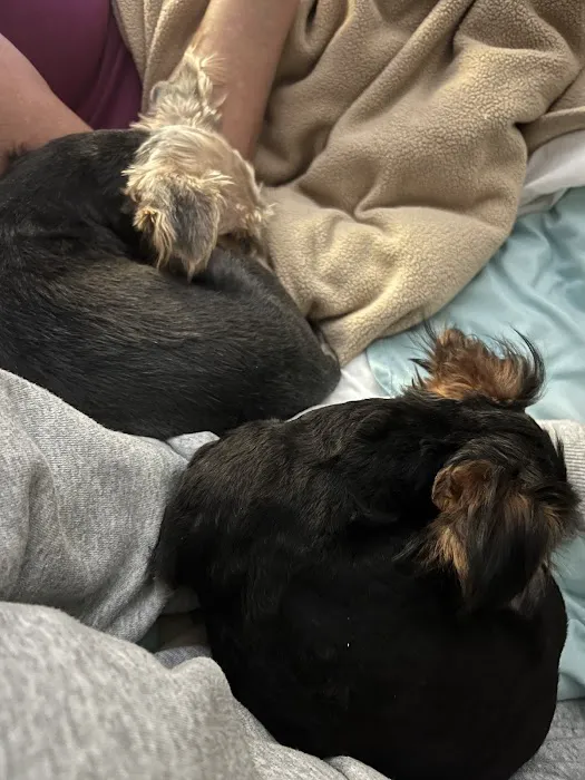 D and G pups Picture 5