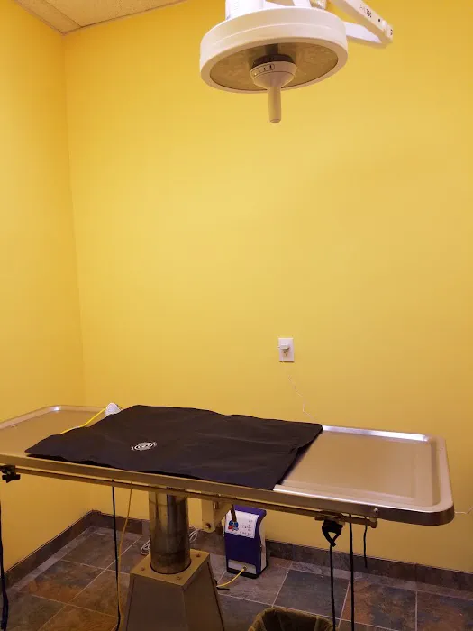 Naamans Animal Hospital Picture 1