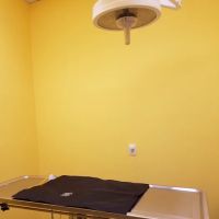 Naamans Animal Hospital ico