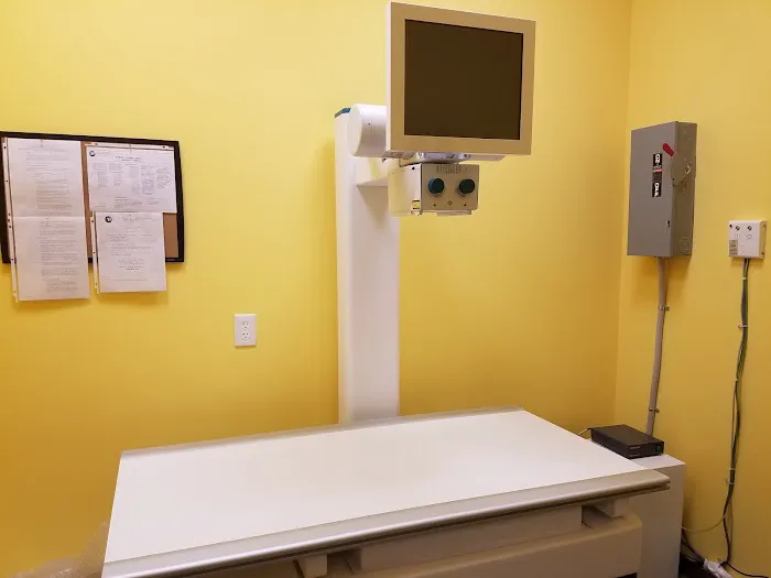 Naamans Animal Hospital Picture 4