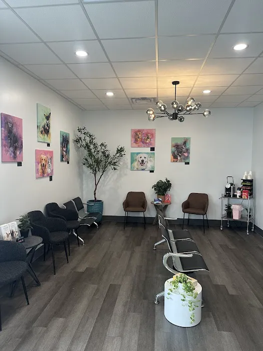 United Vision Pet Partners Picture 2