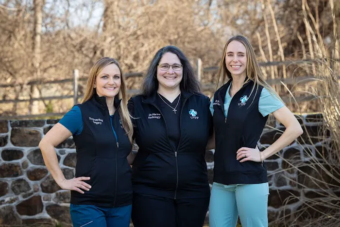 United Vision Pet Partners Picture 3