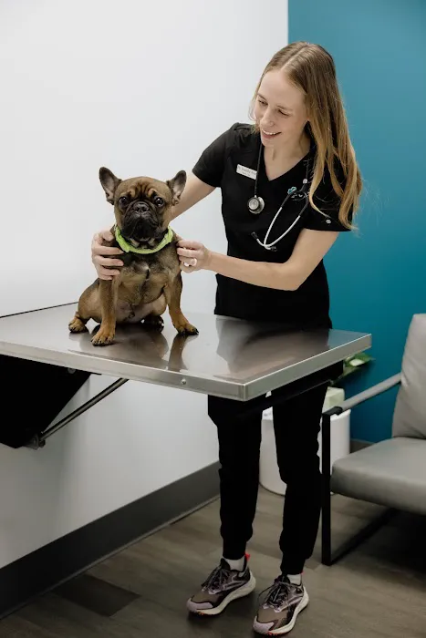 United Vision Pet Partners Picture 1