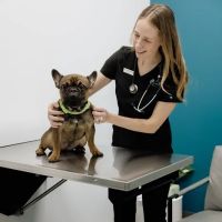 United Vision Pet Partners ico